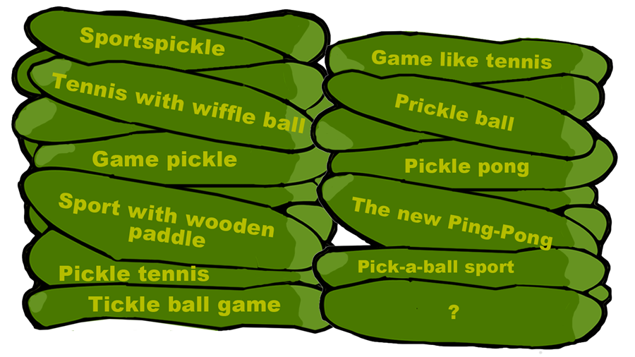 pickleball names pickle tag cloud